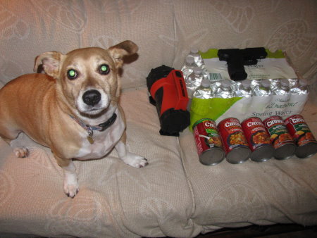 Prepped For Hurricane Irene