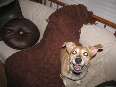 Patton Gets A New Toy (Skunk Edition)