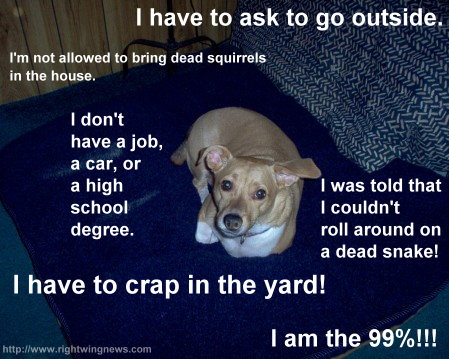 The 10 Funniest Occupy Wall Street “I Am The 99%” Parody Pics