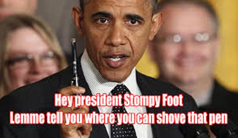 If Amnesty is not stopped the Republican Party and America are over