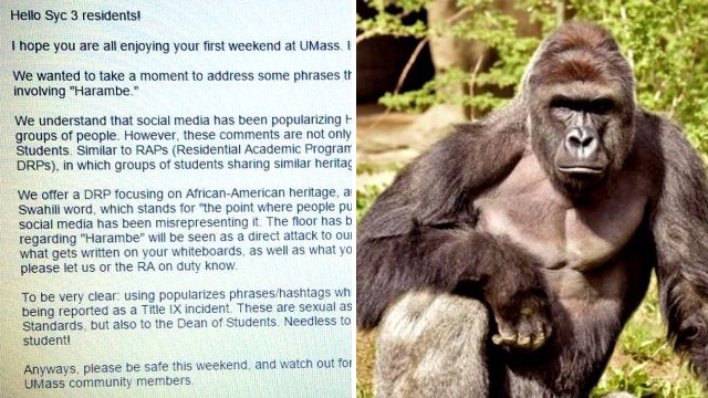 College bans white students from Harambe jokes because ‘they’re racist’