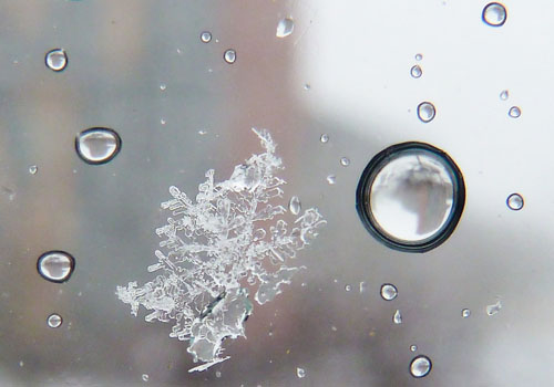 Students of Color Conference Degenerates Into Oppression Olympics