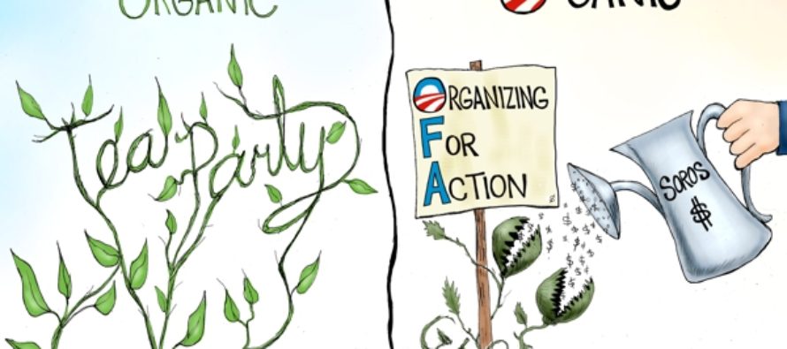 How Does Your Garden Grow? (Cartoon)