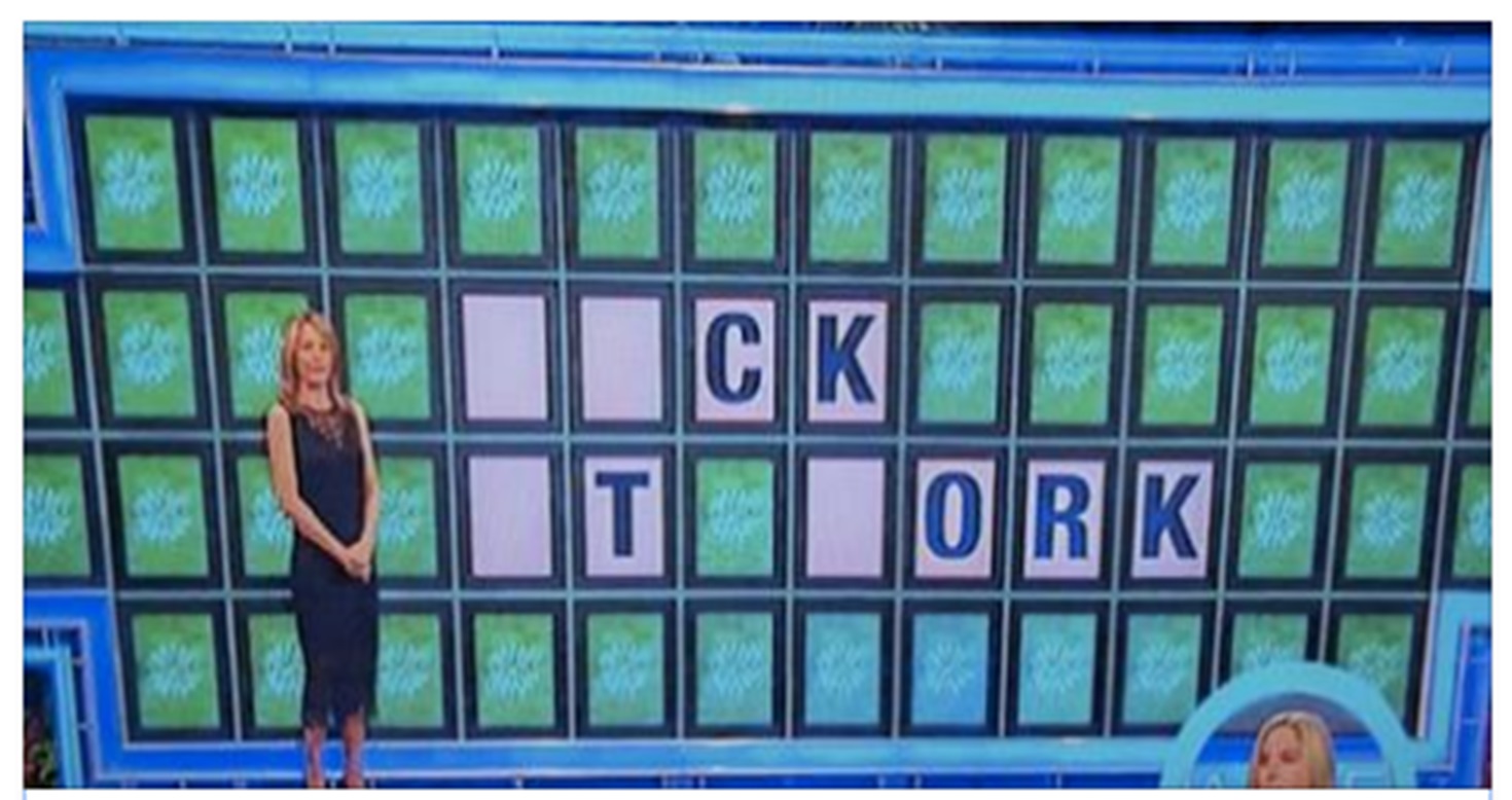 Can You Get The Right Answer To This Wheel Of Fortune Puzzle?