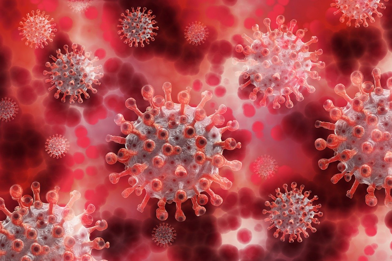 Can We All Just Admit the Coronavirus Lockdowns Were a Huge Mistake?